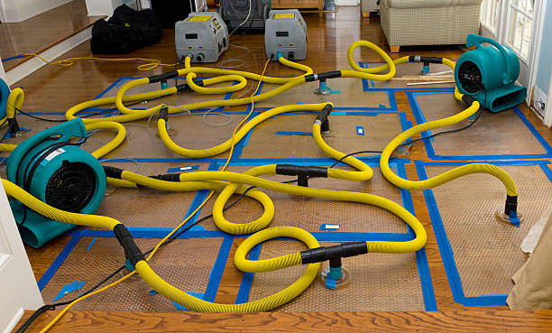 Professional Structural Drying And Dehumidification technician working in Stony Brook, NY